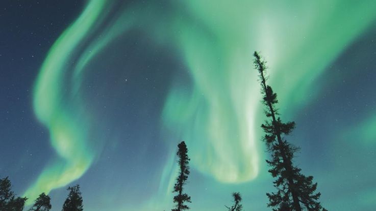 Auroras_Boreales_en_Yellowknife_7_dias_2024-2025