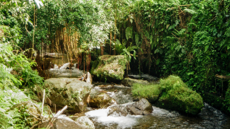 Bali mágico