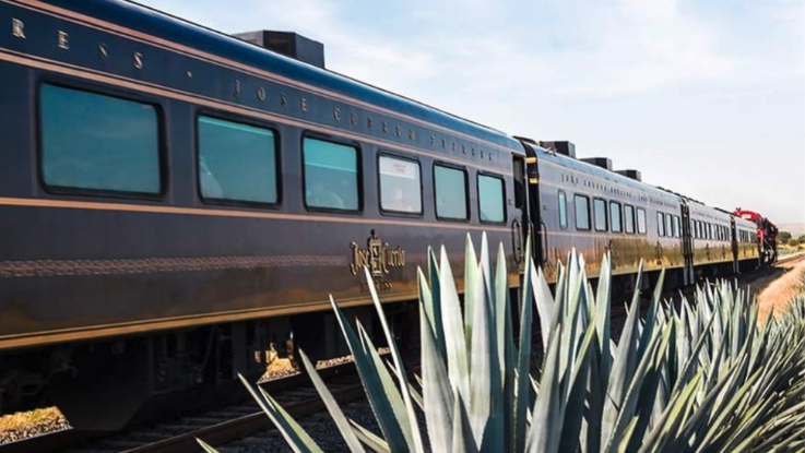 Escapada a tequila en José Cuervo Express (tren)