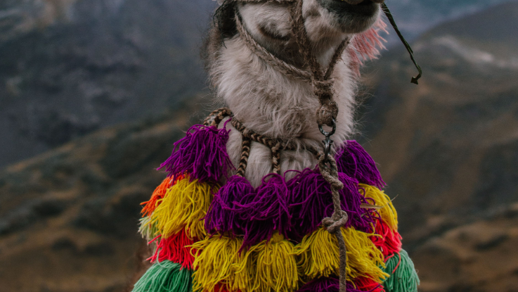 Famtrip Peru de colores. 7 días