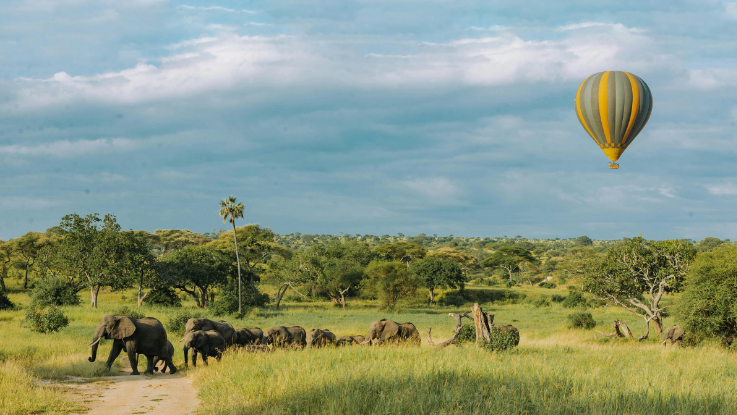 Safari Entorno Tanzania, 8 días