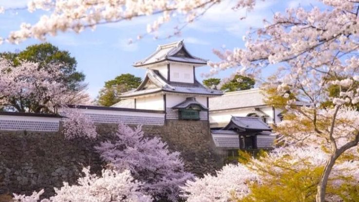 Banzai Japón, 10 días